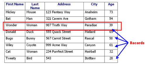 database record